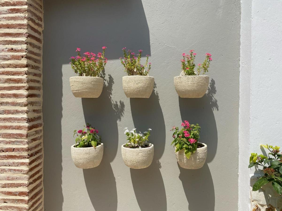 Casa Bixa Boutique - Mayores De 12 Anos - (adults Only) Hotel 4*